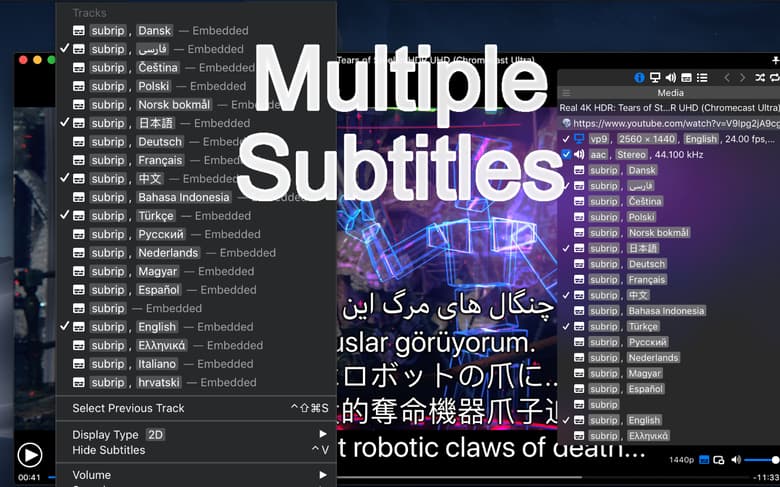Multiple Subtitles
