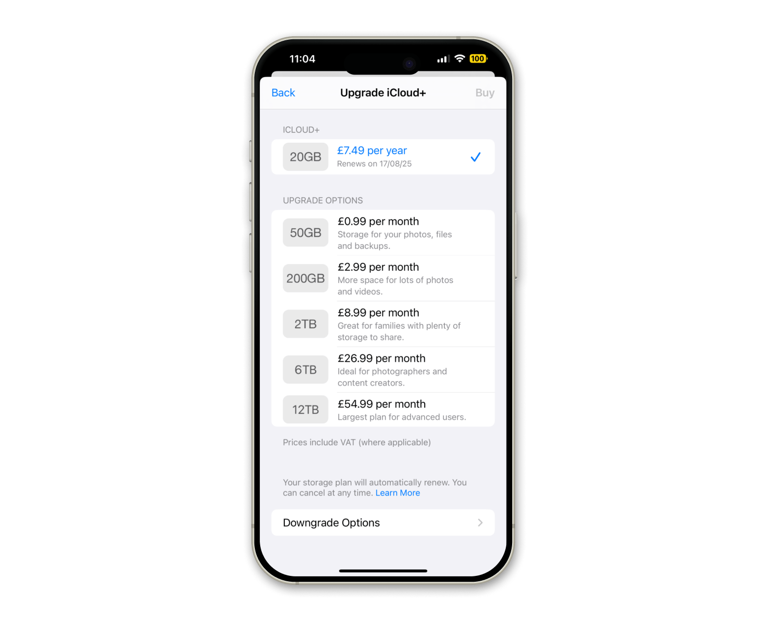iCloud downgrade menu