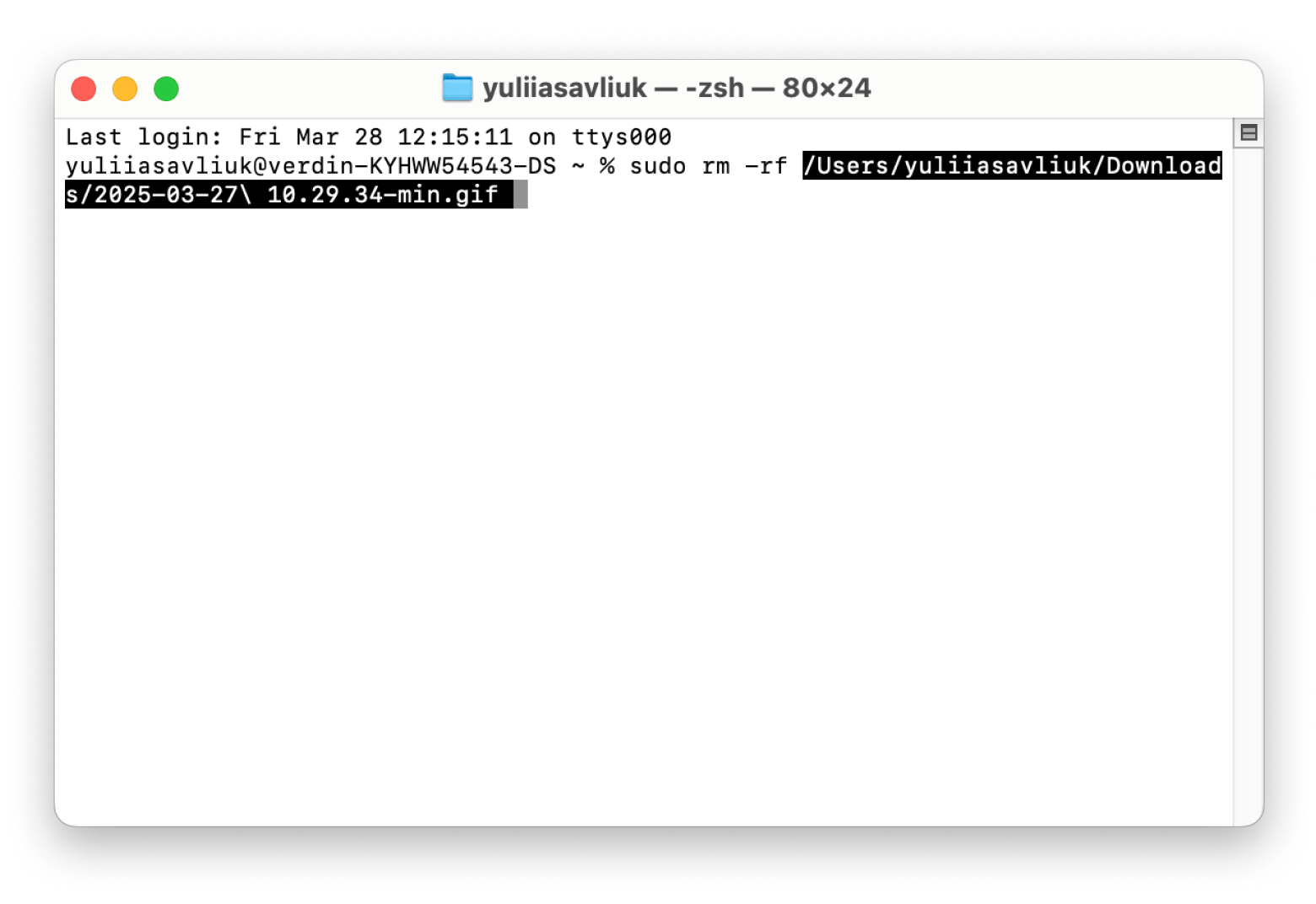 force delete file with terminal